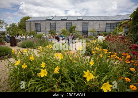 World Food Garden à RHS Wisley Gardens, Surrey, Angleterre, Royaume-Uni Banque D'Images