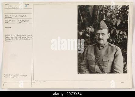 CPL. F.H. Ingleston, photographe pour les États-Unis Armée, prise de vue le 23 octobre 1918, à Boucq, Meurthe et Moselle, France. La photographie montre le major W.R. Blain, vétérinaire du 4e corps d'armée. Cette image a été approuvée par le censeur de l'A.E.F et fait partie de la collection 31911. Banque D'Images