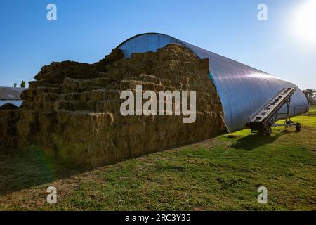 Stockage du foin et de la paille en balles à la ferme. Thème conceptuel : levée de stocks. Sécurité alimentaire. Agricole. Agriculture. Production alimentaire. Banque D'Images