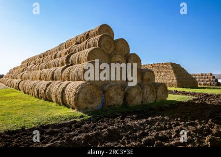 Stockage du foin et de la paille en balles et en rouleaux à la ferme. Thème conceptuel : levée de stocks. Sécurité alimentaire. Agricole. Agriculture. Production alimentaire. Banque D'Images