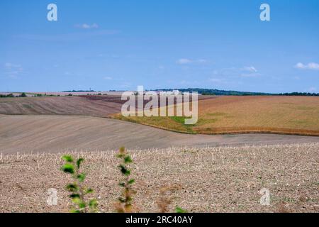 Des champs agricoles sans fin sur les pentes des collines sont semés avec diverses cultures. Paysage rural paisible. Fin de l'été dans la région occidentale de l'Ukraine, Banque D'Images