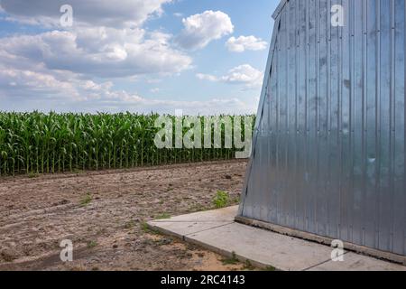 Un grand hangar arqué gainé de tôle profilée galvanisée dans la cour de la ferme. Champ de maïs à proximité. Milieu de l'été dans la région centrale de l'Ukraine. Banque D'Images