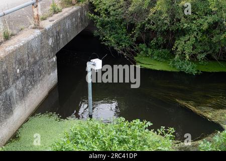 Dorney, Royaume-Uni. 12 juillet 2023. Les scientifiques citoyens Dave et Jacqui Wallace travaillant pour le compte du Henley River action Group ont effectué aujourd'hui des tests sur les niveaux de pollution de l'eau dans le fossé de Roundmoor (photo) à Dorney Common dans le Buckinghamshire en utilisant l'équipement de test fourni par Earthwatch Europe. La surveillance de la durée des événements de Thames Water (EDM) montre que Thames Water a déversé dans le fossé de Roundmoor à partir de la station d'épuration voisine de Thames Water Slough, cependant, la dernière décharge EDM a été enregistrée le 21 janvier 2023. Les résultats des tests d'aujourd'hui sur l'eau nuageuse à Roundmoor Ditch Banque D'Images