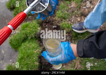 Dorney, Royaume-Uni. 12 juillet 2023. Les scientifiques citoyens Dave et Jacqui Wallace travaillant pour le compte du Henley River action Group ont effectué aujourd'hui des tests sur les niveaux de pollution de l'eau dans le fossé de Roundmoor (photo) à Dorney Common dans le Buckinghamshire en utilisant l'équipement de test fourni par Earthwatch Europe. La surveillance de la durée des événements de Thames Water (EDM) montre que Thames Water a déversé dans le fossé de Roundmoor à partir de la station d'épuration voisine de Thames Water Slough, cependant, la dernière décharge EDM a été enregistrée le 21 janvier 2023. Les résultats des tests d'aujourd'hui sur l'eau nuageuse à Roundmoor Ditch Banque D'Images