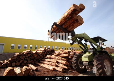 Un chariot élévateur saisit le bois dans une usine de traitement du bois Banque D'Images