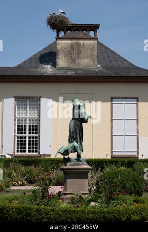 Parc de l'Orangerie : vue d'un nid avec de jeunes cigognes sur le toit au-dessus du pavillon Joséphine Banque D'Images