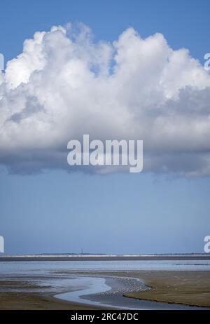 SINT JACOBIPAROCHIE - Une zone de marais salant pour les oiseaux dans la région de Wadden. Les oiseaux WAD peuvent manger, se reproduire et se reposer ici. ANP KOEN VAN WEEL netherlands Out - belgique Out Banque D'Images