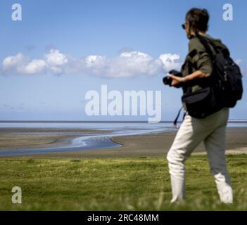 SINT JACOBIPAROCHIE - Une zone de marais salant pour les oiseaux dans la région de Wadden. Les oiseaux WAD peuvent manger, se reproduire et se reposer ici. ANP KOEN VAN WEEL netherlands Out - belgique Out Banque D'Images