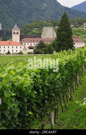 L'Italie, Trentin-Haut-Adige, Bressanone, Novella, vignobles & Monastère monastère. Banque D'Images