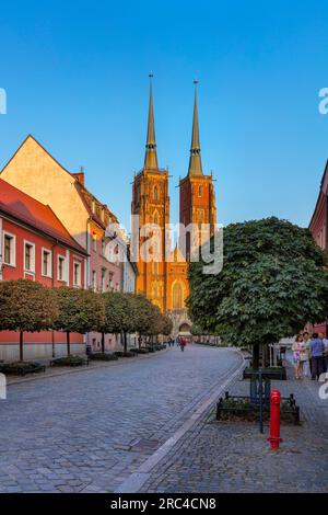 Wroclaw, Pologne, Cathédrale Banque D'Images