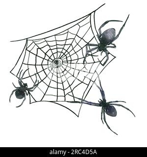 Toile d'araignée, illustration de style aquarelle isolée sur fond blanc. Vintage Halloween noir et rose. Banque D'Images