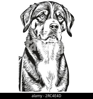 Entlebucher chien de montagne logo dessiné à la main dessin noir et blanc dessin d'animaux de compagnie illustration Illustration de Vecteur