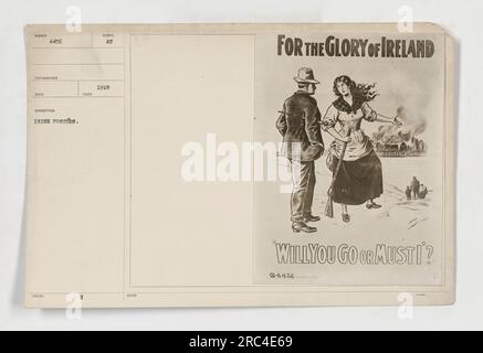 L'image montre une affiche de la première Guerre mondiale, représentant les sentiments irlandais envers la Belgique. L'affiche promeut le dévouement de l'Irlande à la cause, exhortant les individus à prendre une décision sur le soutien ou non de la Belgique. L'image capture le patriotisme et l'unité des nations en cette période historique. Banque D'Images