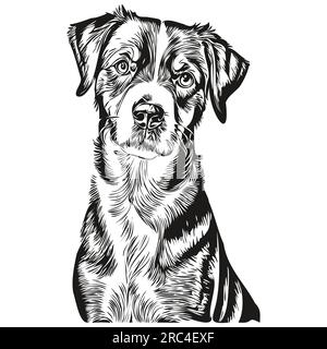 Entlebucher illustration de croquis de chien de montagne, vecteur de gravure noir et blanc Illustration de Vecteur