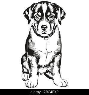 Entlebucher dessin au crayon de contour de chien de montagne, caractère noir sur fond blanc Illustration de Vecteur