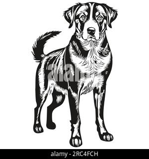 Entlebucher Mountain Dog t shirt imprimé noir et blanc, mignon vecteur de dessin de contour drôle Illustration de Vecteur