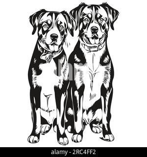 Entlebucher Mountain chien dessin animé portrait d'encre de visage, dessin d'esquisse noir et blanc, impression de tshirt Illustration de Vecteur