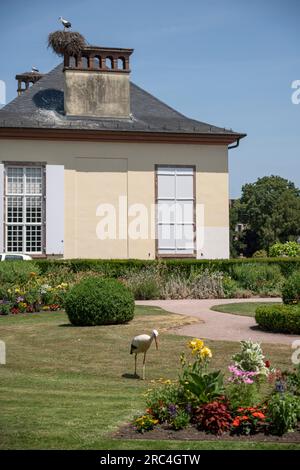 Parc de l'Orangerie : vue sur une cigogne marchant près du pavillon Joséphine et un nid avec de jeunes cigognes sur le toit Banque D'Images