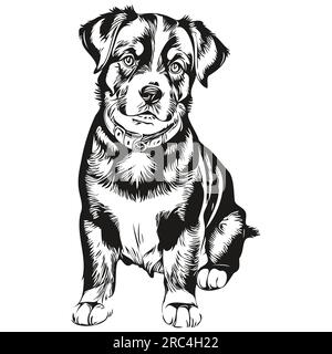 Entlebucher Mountain chien vectoriel graphiques, illustration de ligne d'animal au crayon dessiné à la main Illustration de Vecteur