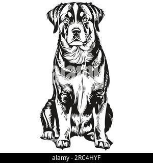Entlebucher illustration de ligne de chien de montagne, portrait de visage de croquis d'encre noir et blanc dans le vecteur Illustration de Vecteur