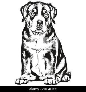 Entlebucher Mountain chien logo vecteur noir et blanc, tête de chien mignon vintage gravé Illustration de Vecteur