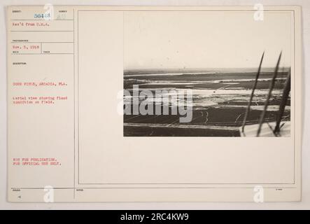 Vue aérienne de Dorr Field à Arcadia, Floride pendant la première Guerre mondiale. L'image montre une inondation importante sur le champ. Prise le 5 novembre 1918, la photographie est marquée comme n'étant pas destinée à la publication et pour usage officiel seulement. DESCRIPTION : NUMÉRO 56443 AU DORR FIELD, ARCADIA, FLA. Vue aérienne montrant l'état d'inondation sur le terrain. Banque D'Images