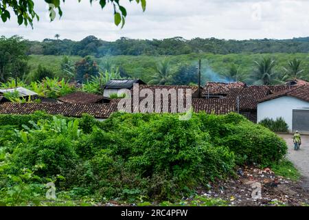 Aratuipe, Bahia, Brésil - 31 août 2018 : sommets de toits de maisons et forêt dense et verdoyante. Maragogipinho, Aratuipe, Bahia. Banque D'Images