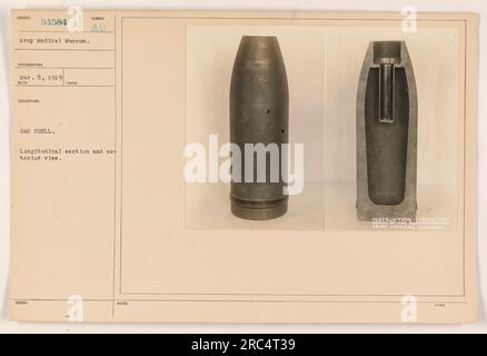 Cette photographie représente une coquille de gaz, à la fois en coupe longitudinale et en vue extérieure. Il a été pris le 5 mars 1919, par Mar. L'image fait partie de la collection du Musée médical de l'armée, identifiée par LE SUJET 54584. La photographie sert de matériel didactique pour le Laboratoire du Surgeon General au Musée médical de l'Armée. Banque D'Images