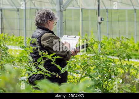 Vue latérale de jardinier mature concentré dans des vêtements décontractés et des lunettes prenant des notes sur le presse-papiers tout en examinant les plantes vertes dans la serre Banque D'Images