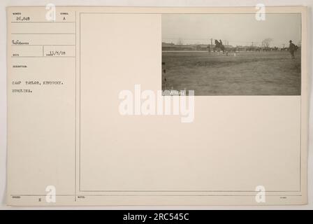 Les soldats du camp Taylor dans le Kentucky participent à un exercice d'entraînement, jetant un obstacle. Cette photographie, prise pendant la première Guerre mondiale, met en évidence l'endurance physique et l'agilité requises dans les activités militaires. Banque D'Images