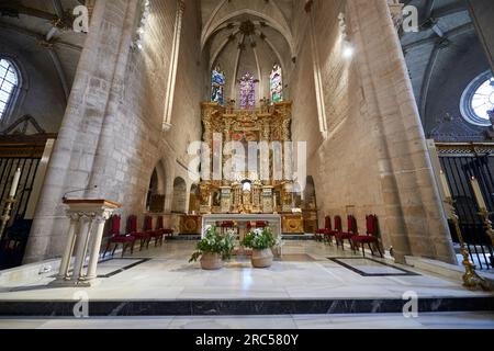 Pièce d'autel de l'église de San Gil, Burgos, Espagne Banque D'Images