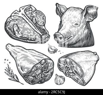 Ensemble de découpes de viande. Steak de bœuf, jambon, bacon, tête de porc. Concept de nourriture agricole. Illustration vectorielle d'esquisse dessinée à la main Illustration de Vecteur