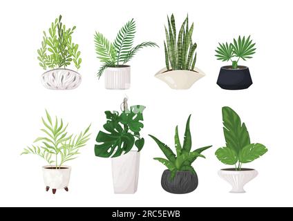 Ensemble de plantes tropicales d'intérieur dans des pots à la mode Illustration de Vecteur