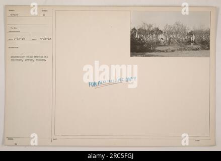 Arbustes près du château de Bongraine, Aytre, France. Cette photographie, numérotée 57727 S.C., a été prise le 28 septembre 1918. Il montre des arbustes dans les environs du château de Bongraine à Aytre, France. Les initiales du photographe sont CD, et la photographie a été émise comme symbole E par l'armée. Cette image est marquée comme 'HOTE FOR OFFICIAL USE ONLY' avec le numéro 127. Banque D'Images