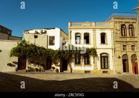 Bakou, Azerbaïdjan - 25 juin 2023 : vue d'une journée d'un bâtiment historique couvert de lierre dans le quartier Icheri Sheher de Bakou Banque D'Images