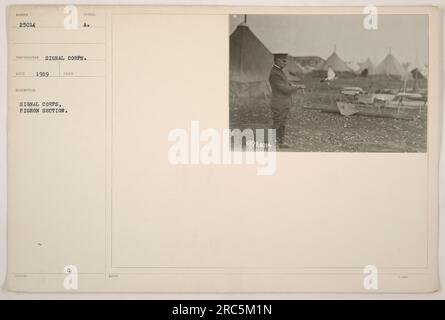 Une photographie de la section de pigeon du signal corps, prise par le signal corps. L'image a été reçue en 1919 et porte le numéro d'identification 111-SC-25014. Il représente un groupe d'individus qui ont fait partie de la section des pigeons pendant la première Guerre mondiale Banque D'Images