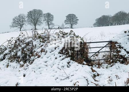 Neige hivernale à travers les champs près de la ville de Llantrisant dans le sud du pays de Galles. Un endroit idéal pour la neige en hiver avec une sensation de gris à ce sujet. Banque D'Images