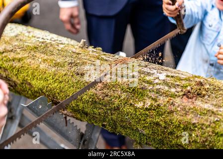 Jeune mariée couple marié sciant un tronc d'arbre ensemble tradition allemande de mariage. Banque D'Images