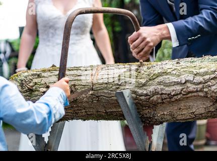 Jeune mariée couple marié sciant un tronc d'arbre ensemble tradition allemande de mariage. Banque D'Images