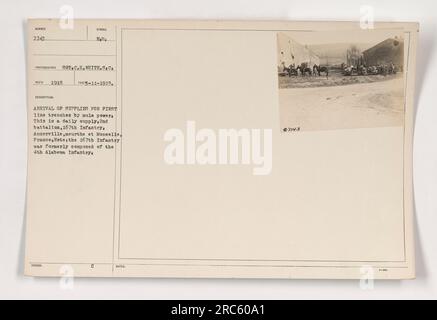 L'image montre les fournitures transportées vers les tranchées de la première ligne par puissance mulette. C'était une routine quotidienne d'approvisionnement pour le 2e bataillon, 167e d'infanterie à Ancerville, Meurthe à Mosselle, France pendant la première Guerre mondiale Le 167th Infantry était auparavant connu sous le nom de 4th Alabama Infantry. (Remarque : détails de la description tirés de l'étiquette de l'image C REMARQUE : 07743) Banque D'Images