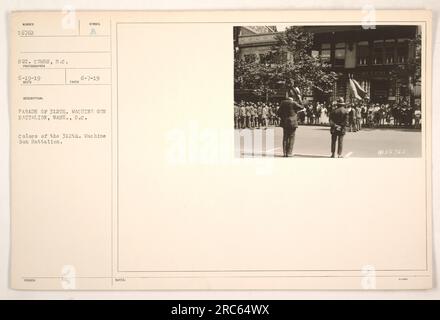 La photographie capture un défilé du 312th mitrailleuse Battalion à Washington D.C. Un soldat identifié comme sergent Combs est documenté comme le photographe le 19 juin 1919. Les couleurs du bataillon sont bien visibles. L'image a été reçue avec un symbole de description indiquant un défilé. D'autres renseignements indiquent que la photographie a été émise le 7 juin 1919 et qu'elle porte la note 056762. Banque D'Images