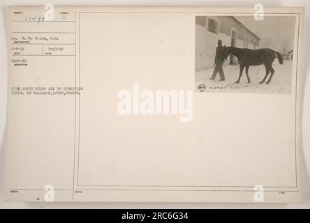 Cheval malade conduit à une table d'opération au Valdahon, Doubs, France pendant la première Guerre mondiale. La photo a été prise par le lieutenant R. W. Sears, S.C. le 5 avril 1919. La description est étiquetée 51493 et elle a été émise le 27 janvier 1919. Banque D'Images