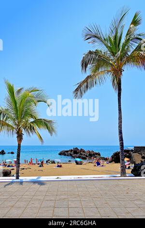 Lanzarote Îles Canaries Puerto Del Carmen Playa Chica avec baigneurs baigneurs et palmiers contre un ciel bleu profond Banque D'Images