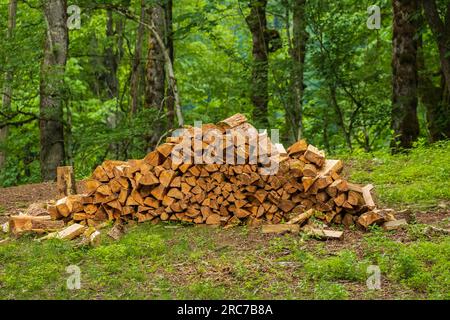 Une pile de bois de chauffage empilé, préparé pour chauffer la maison, bois de chauffage récolté pour le chauffage en hiver, bois de chauffage haché sur une pile, bois de chauffage empilé an Banque D'Images