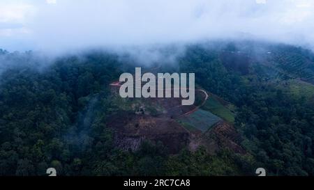 Vue aérienne des arbres dans la vallée avec brouillard le matin. Paysage de vallée brumeux et de nuages de montagne en thaïlande. L'aube des montagnes W Banque D'Images