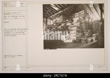 Légende factuelle de l'image : le lieutenant George H. Lyon a pris cette photographie le 19 février 1919, à l'entrepôt n° 2, 12th St., Hoboken, N.J. L'image montre un tas massif d'environ 35 000 hamacs destinés aux navires de troupes. La photographie a été officiellement approuvée par le censeur du M.I.D. le 10 mars 1919. » Banque D'Images