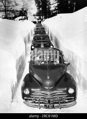 Idaho : c. 1952 il est lent de traverser une coupe labourée dans les montagnes de l'Idaho. Banque D'Images