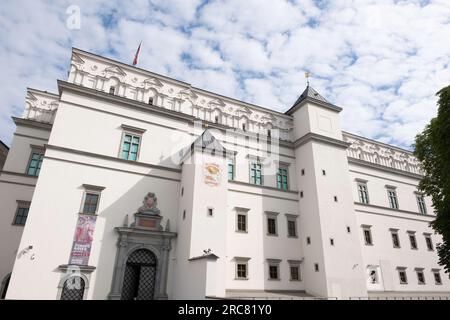 Palais des Grands Ducs de Lituanie à Vilnius, actuellement musée Banque D'Images