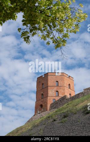 Tour Gediminas (Gedimino pilies bokstas, à partir de 1409), une partie restante du château du Haut Vilnius au sommet de la colline Gediminas à Vilnius, Lituanie Banque D'Images