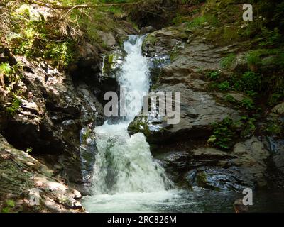 Italie, montagnes Appennino, la rivière et les chutes. Banque D'Images